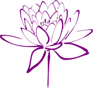 fleur lotus