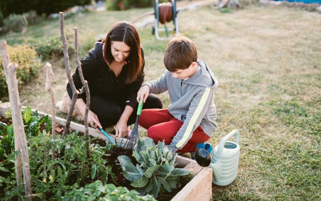 Vegetable garden