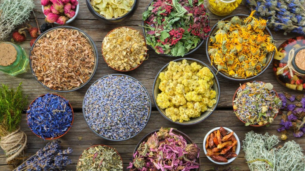 herbes medicinales