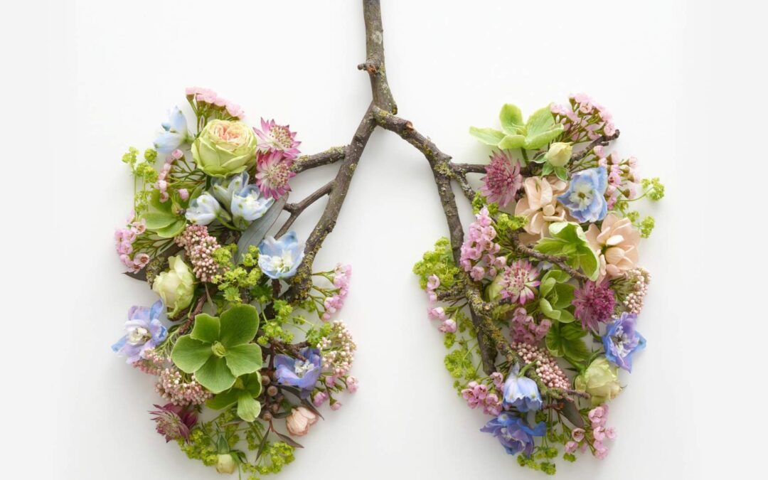 Techniques de respiration pour améliorer votre concentration et votre détente